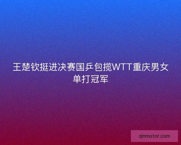 王楚钦挺进决赛国乒包揽WTT重庆男女单打冠军